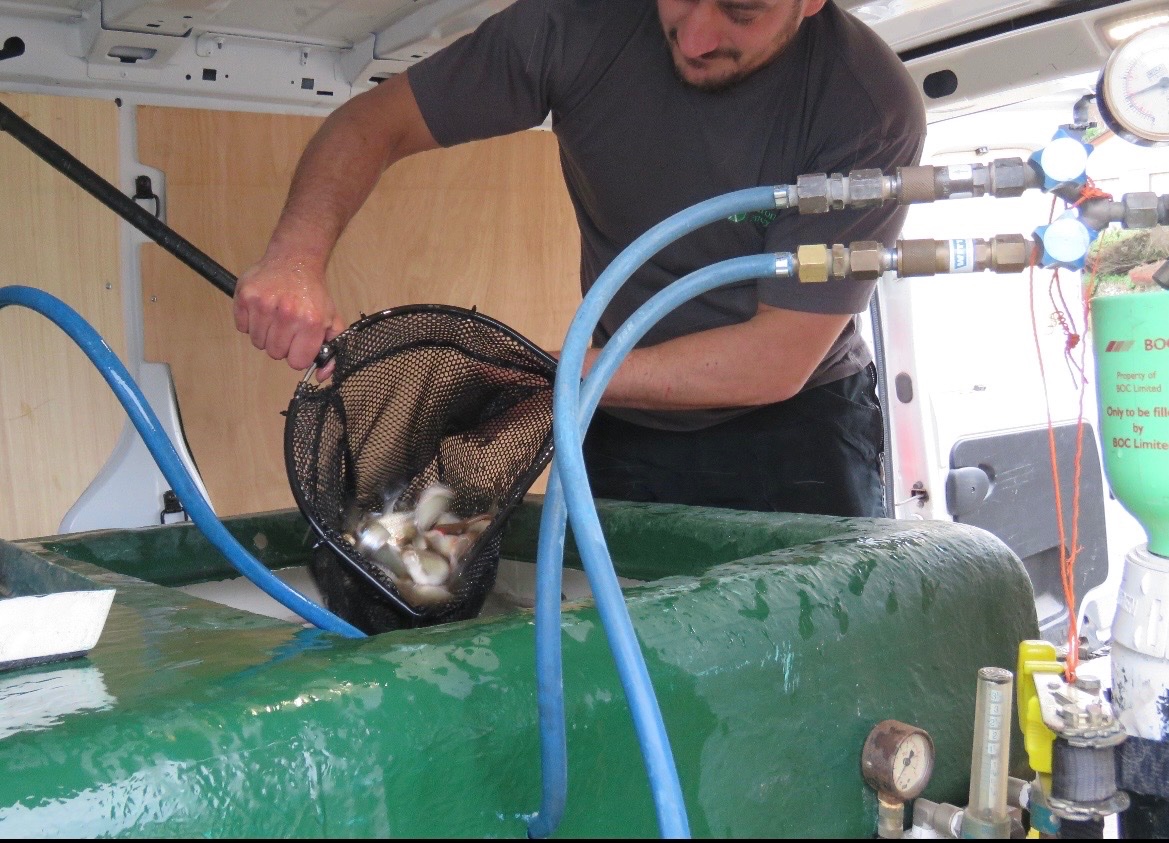 EA Fisheries - Devon and Cornwall tweet media