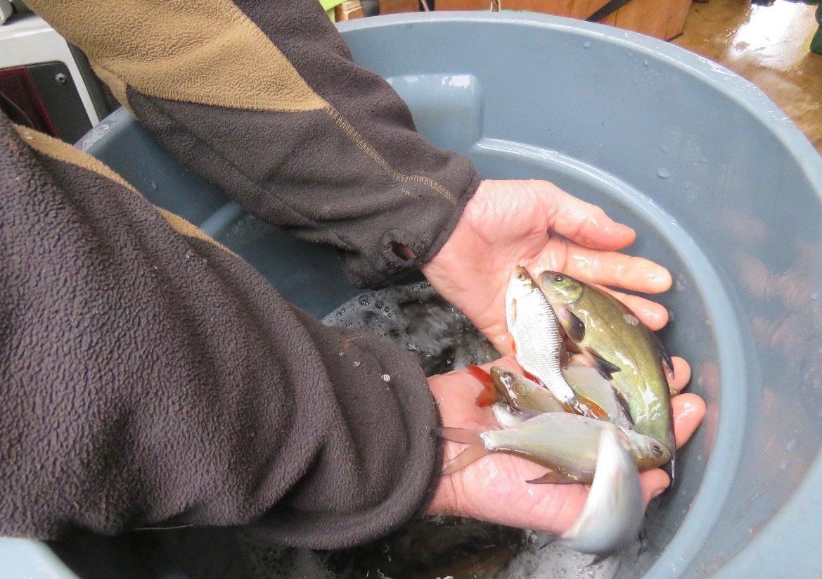 EA Fisheries - Devon and Cornwall tweet media