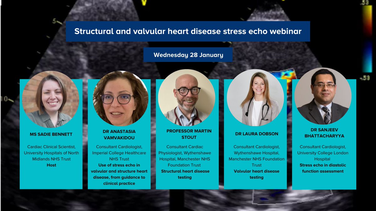 Echo Research and Practice tweet media