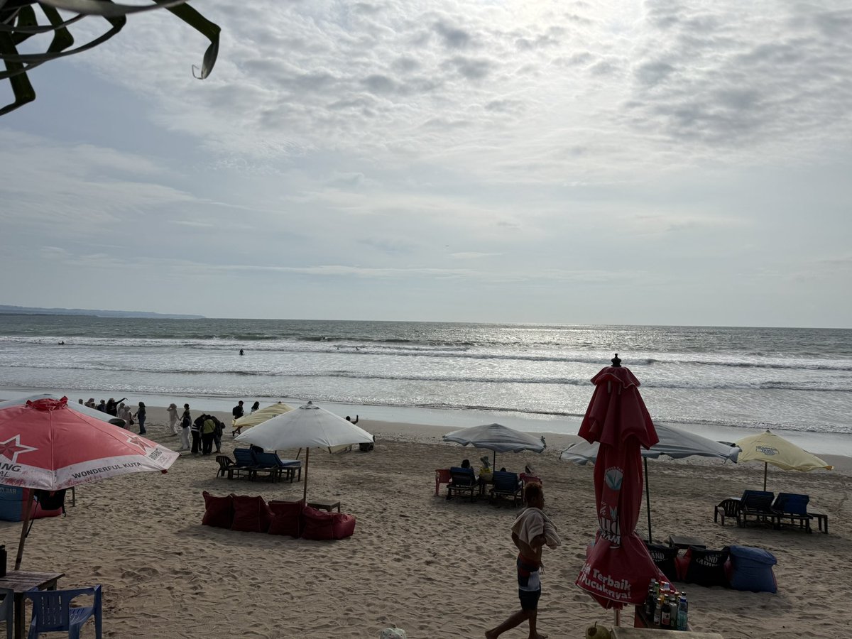 🇲 🇸 🇳 tweet media