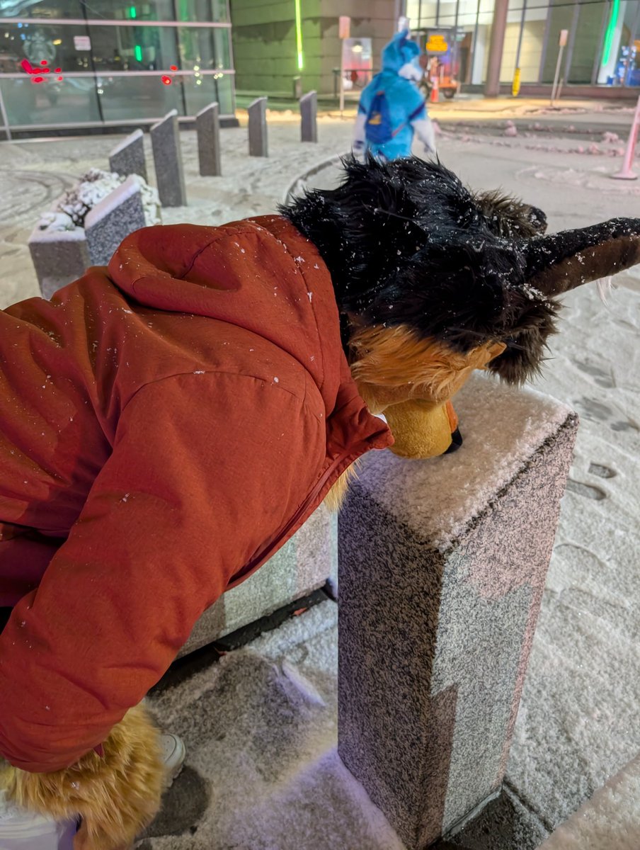 mac ๐ต๐ธ ๐ LVFC tweet media