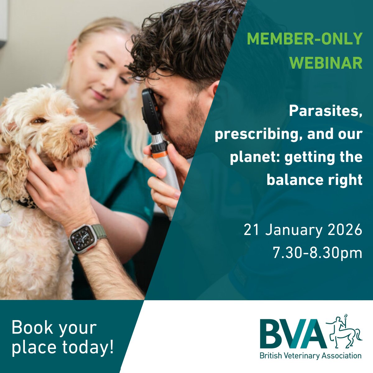 BritishVets tweet media