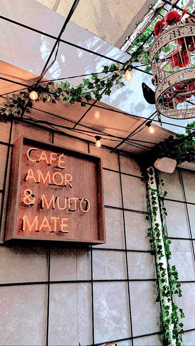 𝕾𝐎𝐅𝐈𝐀 .ᐟ ˃ᴗ˂ tweet media