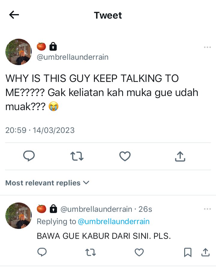 🫐 (REST) tweet media