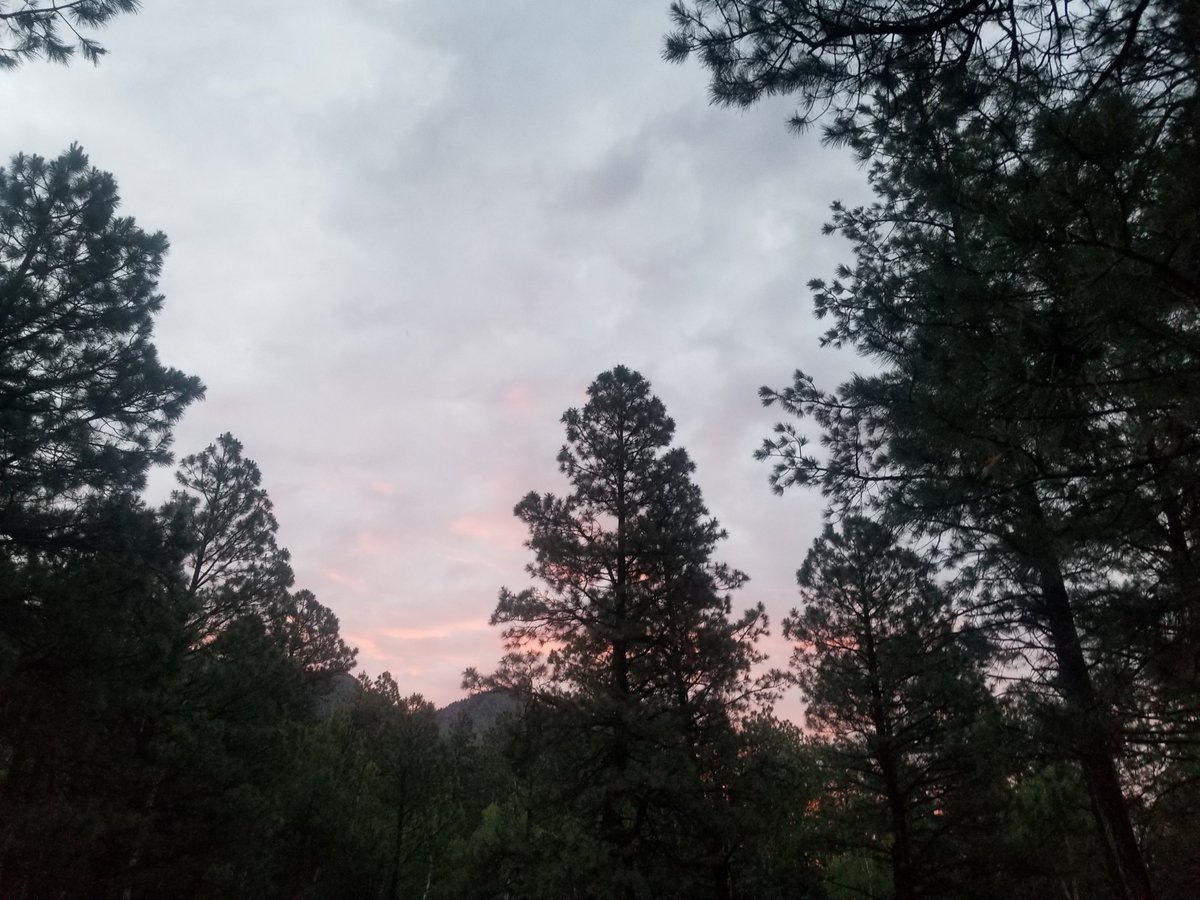 Surviving in remote northern New Mexico mountains is more costly than you would expect. The previous owner left me with at least a winter or two’s worth of firewood, which I burned for heat most mornings. It warmed us up and left a pleasant smell throughout the cabin. 

However,