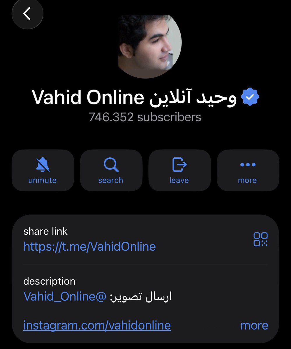 در تمام سال‌هایی که کار خبر کردم و‌ با صحت‌سنجی ویدیو، روایت شاهدان و خبر فوری سر و کار داشتم، شاهد بودم وحیدآنلاین <a href="/Vahid/">Vahid Online</a> چطور دقیق و بدون چشمداشت خبرهای اعتراضات و کشتار را کاور کرده. پیدا کردن هویتش وقتی خودش نمی‌خواد اطلاعات بیشتر بده، به کار چه کسی میاد جز جمهوری اسلامی؟