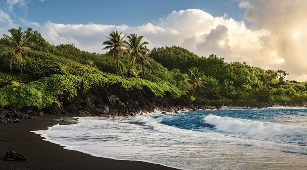 🌸 Spring into adventure in Maui! From whale watching to scenic hikes and beach days, Maui is the ultimate family-friendly getaway this season. 🐋 #MauiSpring #FamilyTravel #IslandEscape #deltavacations #JMartTravels