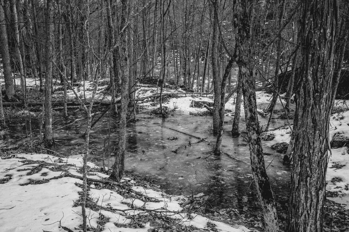 AV_Escapes's tweet photo. Getting out for winter hikes as often as I can https://t.co/hPTkTiFArh
