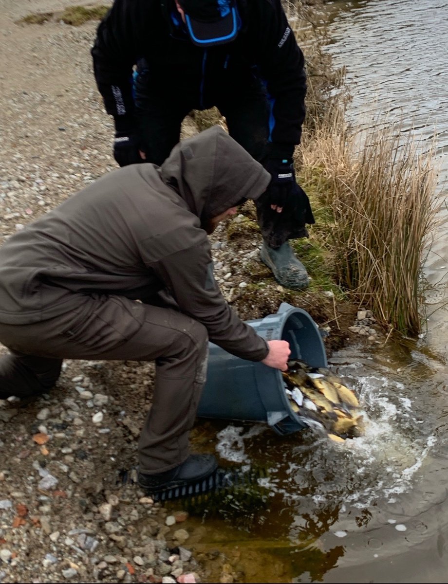 EA Fisheries - Devon and Cornwall tweet media