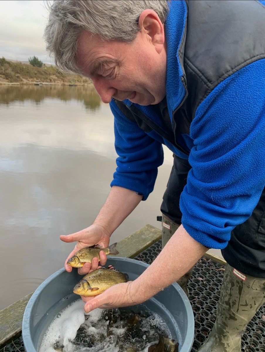 EA Fisheries - Devon and Cornwall tweet media