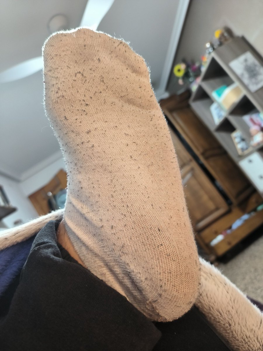 Alph_8's tweet image. no os podéis imaginar el pestazo que tienen después de todo el día dando vueltas, quien los quiere? 😈