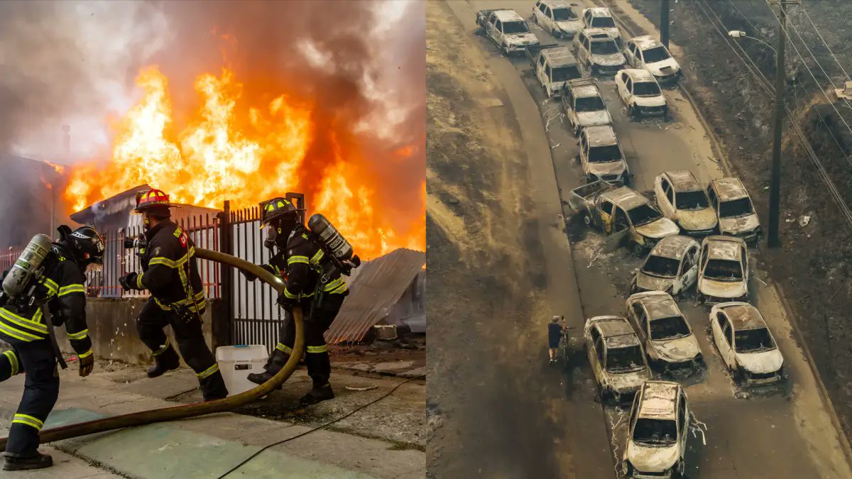 Carlota Fang tweet media