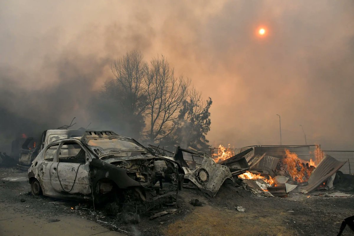 Carlota Fang tweet media