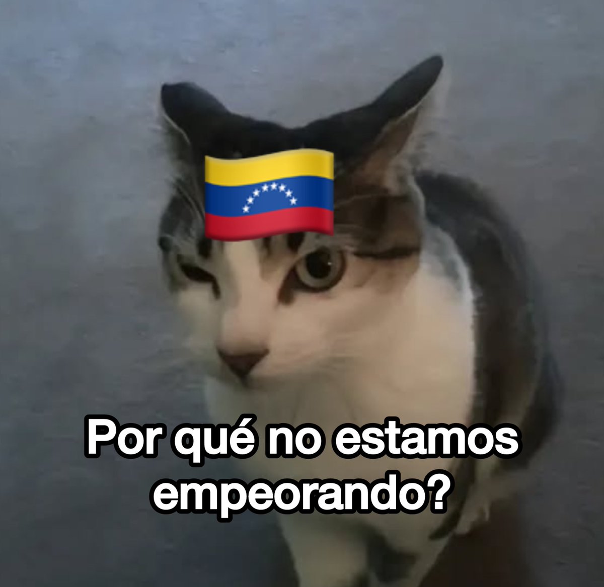 elfakepost's tweet image. Cuando baja el precio de la carne, vuelven la compra de dólares por el banco y las tarjetas internacionales: