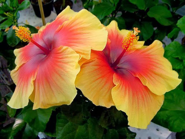 Buenos días a todos ❤️❤️❤️