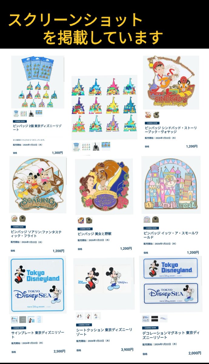 1/22 発売 ピン シンデレラ城 チャンドゥ パークロゴ ミッキー 看板