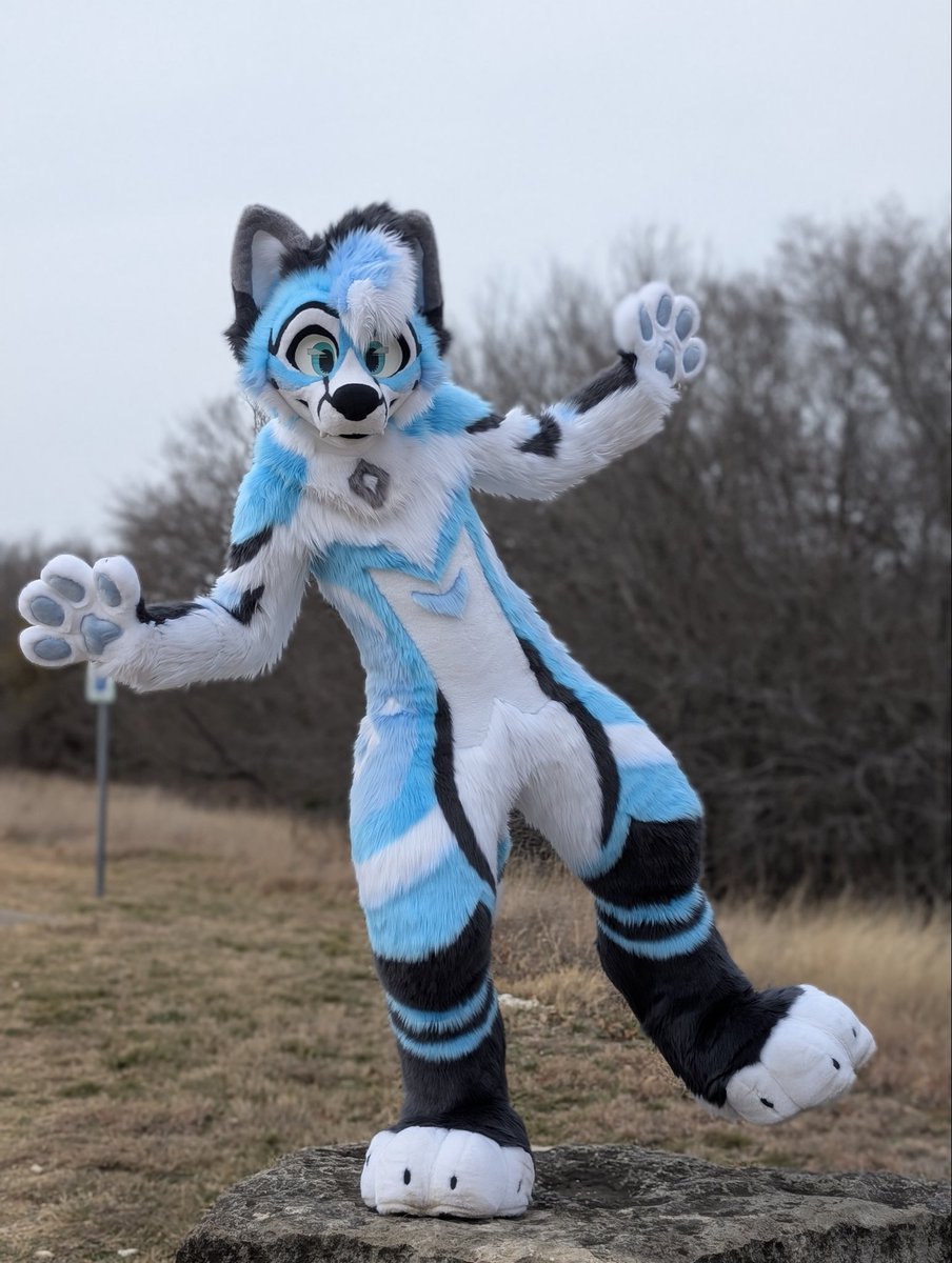 Cybie 🔜 TFF, FWA tweet media