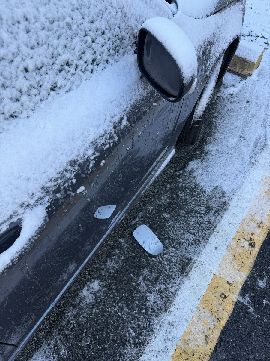 Thank you car, very cool