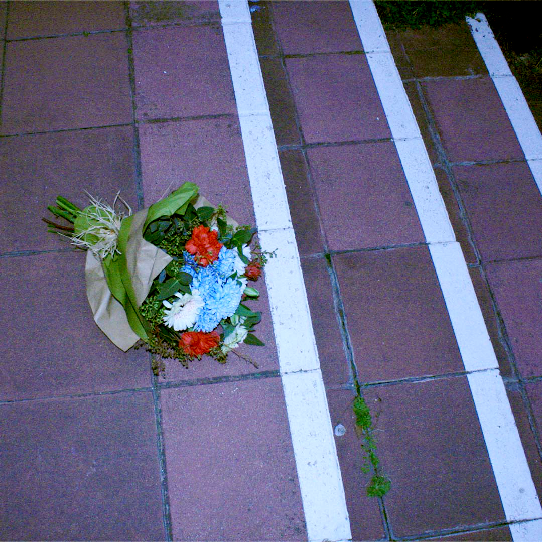 Penélope y tal 29/1