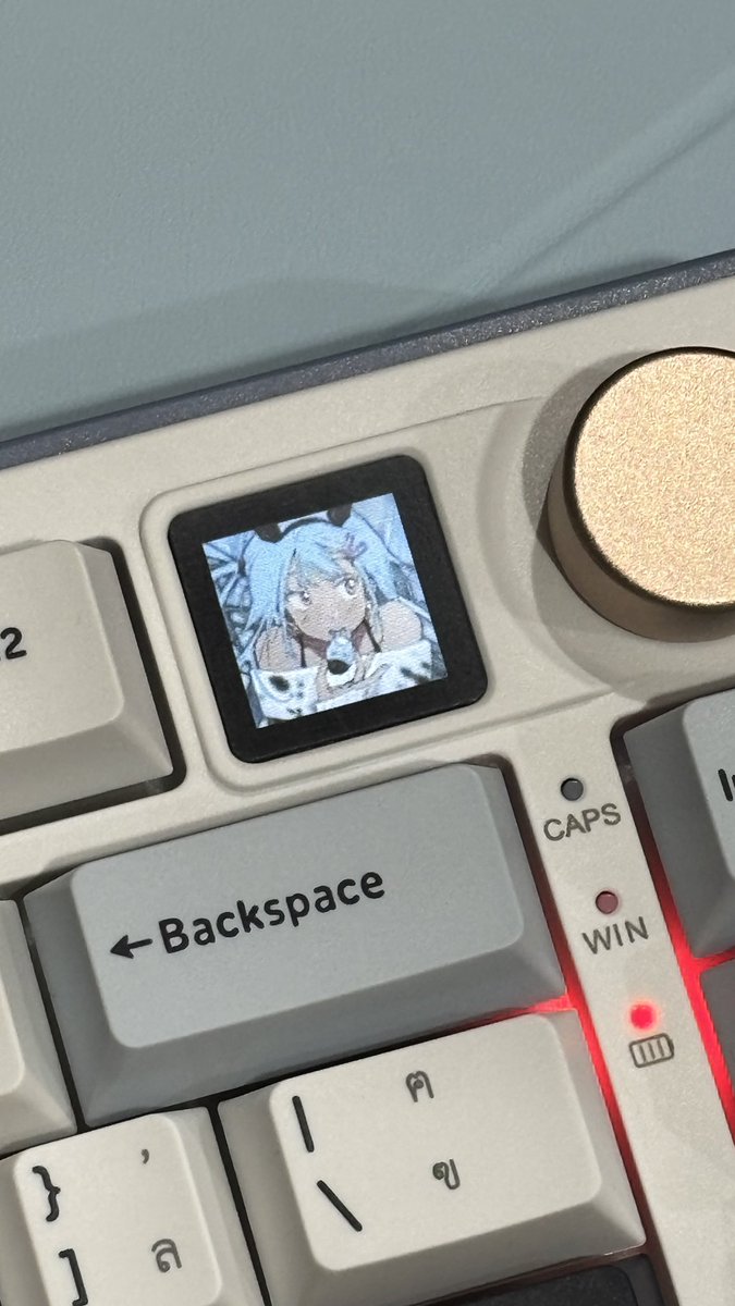 remimiarea's tweet image. ต้นปีที่ผ่านมาตัดสินใจซื้อคีย์บอร์ดบลูธูทดูค่ะ (เอามาทำแคนว่าโดยเฉพาะ&amp;gt;.&amp;lt;) อาจไม่แพงมาก แต่เป็นเป็นเงินก้อนนึงที่ได้มาจากขายงานวาดเอง (มันมีจอใส่รูปgifได้ด้วยทุกคน😭😭🙏🙏 คิตตี้คาวาอี้)

ล่าสุดตอนนี้เอามาลองใช้กะคลิปสตูดู เห้ย มันสะดวกขึ้นเลยอ่ะ ไม่ต้องยกปากกามาเปลี่ยนอุปกรณ์😳