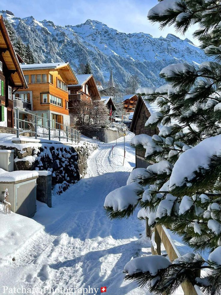 AnnaRblk's tweet image. Mürren, Switzerland 🇨🇭