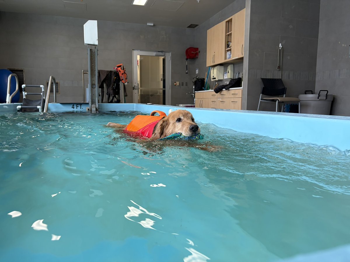 Ontario Veterinary College tweet media