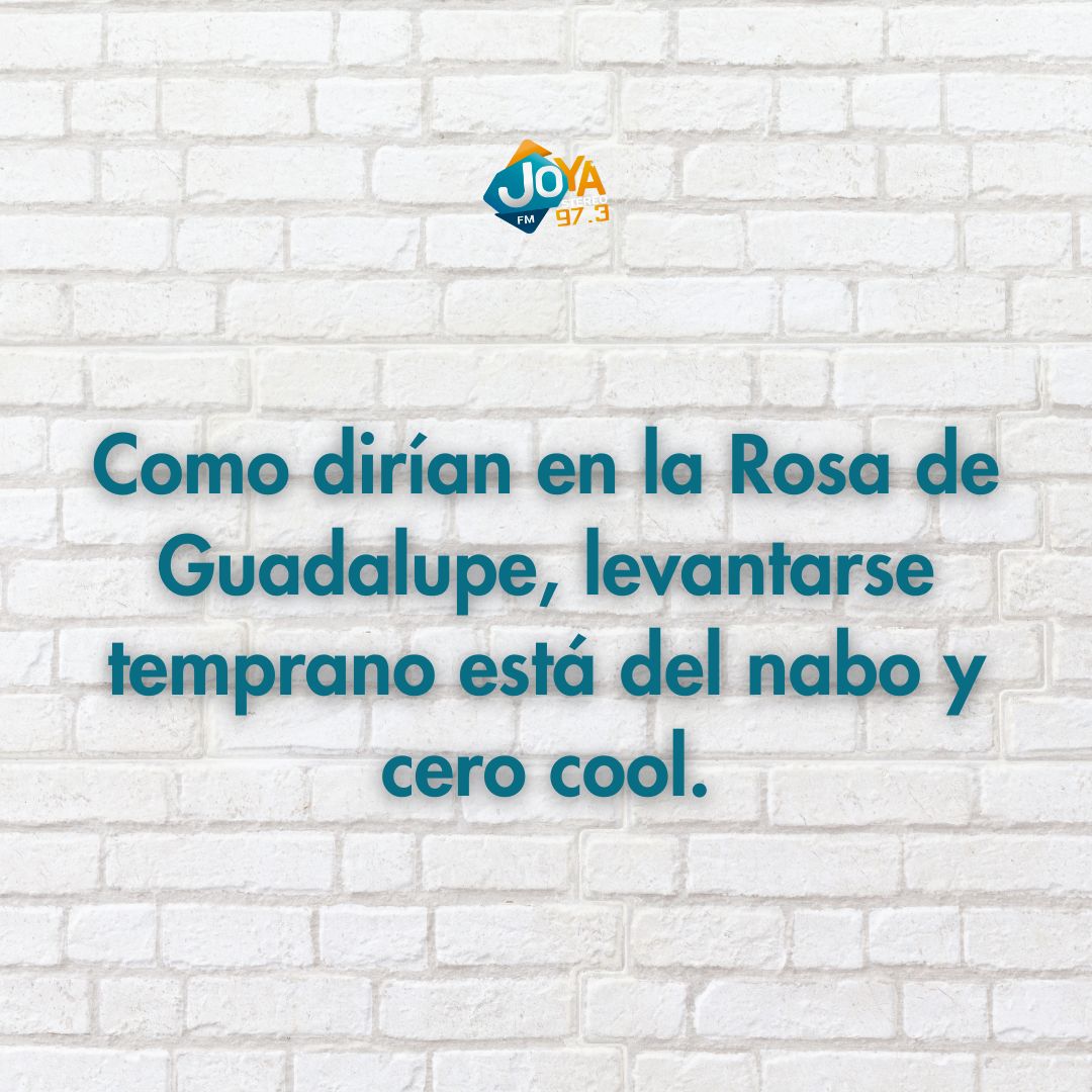 JoyaStereo's tweet photo. Como dirían en La Rosa de Guadalupe 🌬️📺
Levantarse temprano está del nabo y cero cool 😂😂
Pero aquí andamos, sobreviviendo 😅☕
#CeroCool #DelNabo #LaRosaDeGuadalupe https://t.co/bhT863YPsV