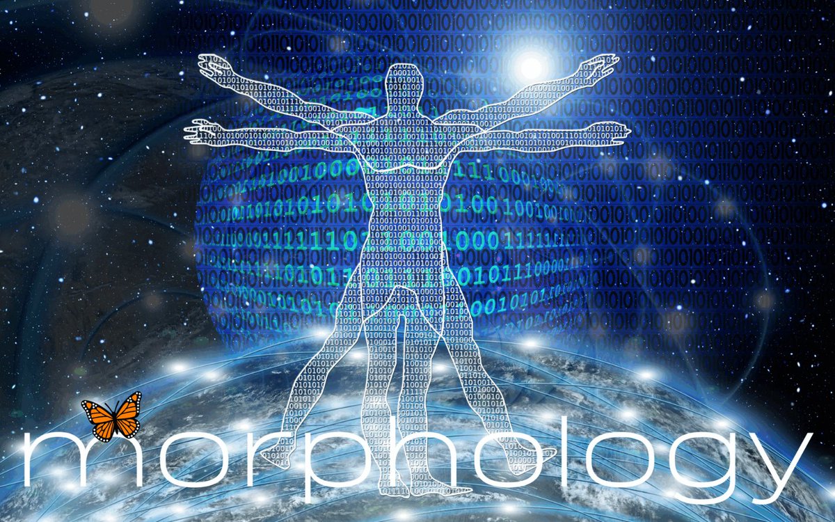 com_tweeted's tweet image. Form. Structure. Intelligence. AI needs more than data.

🧬 Morphology.AI – Discovr.Ai/Morphology-Ai

Structure-aware AI.

#ScientificAI #StructuralAI #Morphology #ComputerVision #BioAI #DiscovrAi