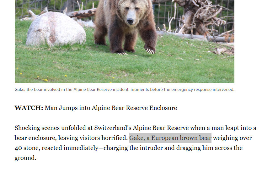 priest_gabagool's tweet photo. I just found the next animal runner we have waited for,

Exactly the same story as $HARAMBE that ran 500mBut this time a man jumped down into it's enclosure forcing the zookeepers to kill $GAKE the BEAR

Sparking outrage in Alpine Bear Reserve:

https://t.co/wJWZGTxDJN… https://t.co/dVbKoU5rcD