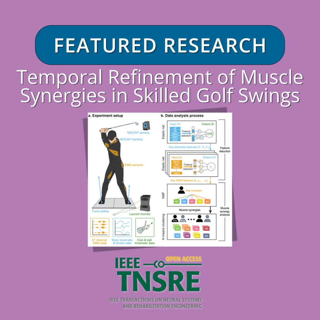 IEEEembs's tweet image. New #IEEE TNSRE paper 🎯 on golf swing neuromuscular control! 

Skilled golfers refine the timing of coordinated muscle groups - muscle synergies - to manage complex whole-body motions more effectively.

📖 bit.ly/4qDlBhw.

#SportsScience #Biomechanics