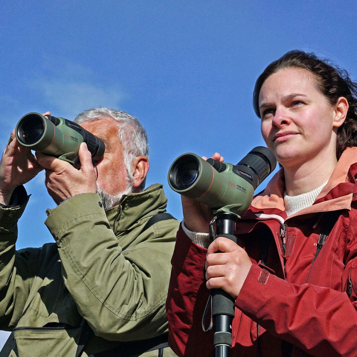 swoptics's tweet image. The Kowa TSN-55A PROMINAR uses a fluorite crystal objective lens to deliver exceptional resolution, contrast, and colour accuracy.

🔗 shorturl.at/MvWGL

#SouthWestOptics #Kowa #SpottingScope #NatureObservation