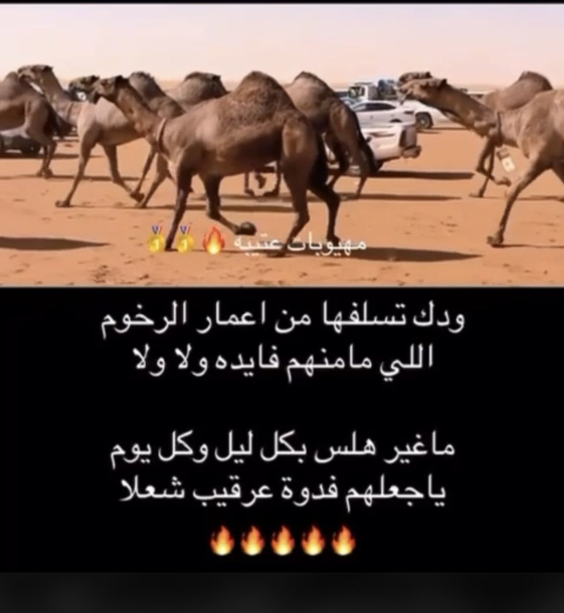 الساطي tweet media