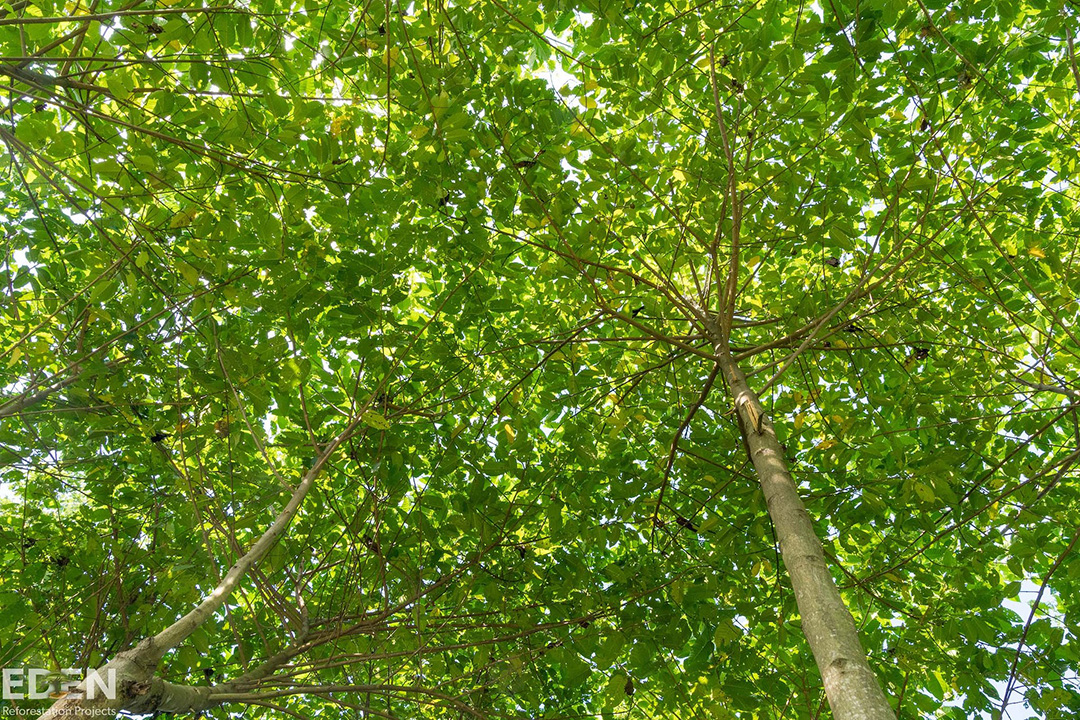 Stein Eriksen Lodge tweet media