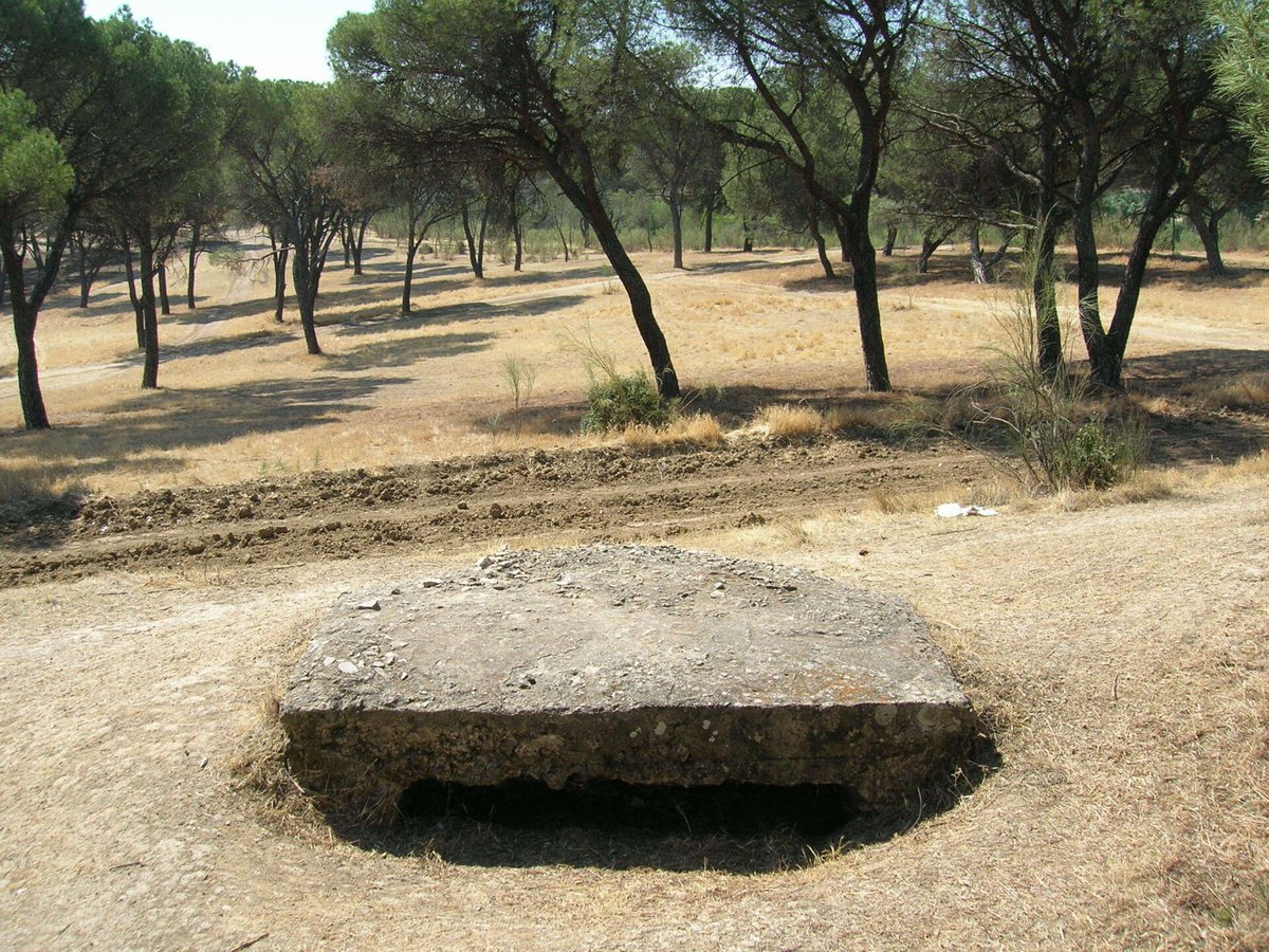 RUTA EL FRENTE DE LA CASA DE CAMPO II
sàbado 24 de enero
Info y reservas 👇
madridenguerra.es/casa-de-campo-…