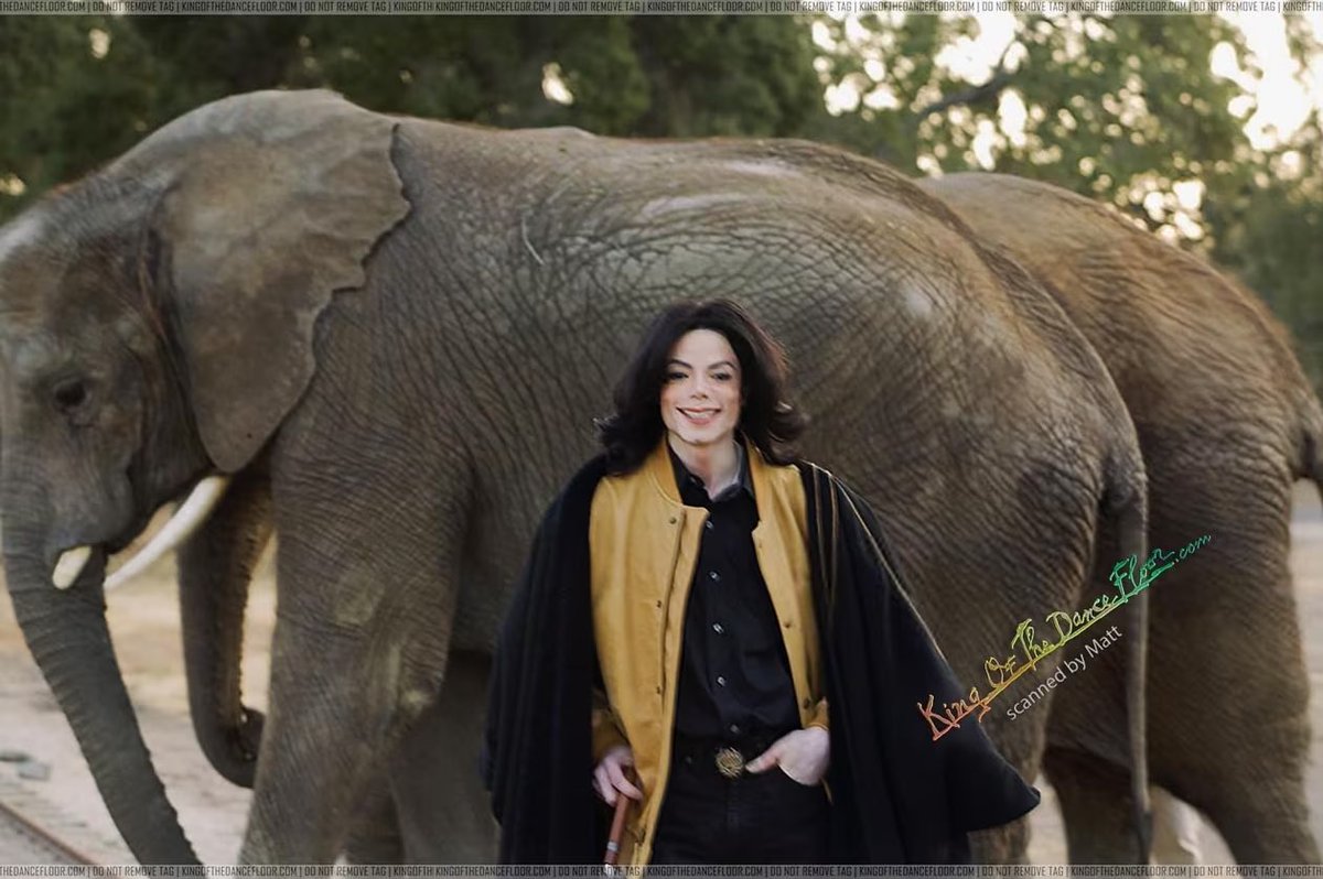 FreyaWBB's tweet image. Michael’s lifelong dream was to give children a place where they could be carefree.