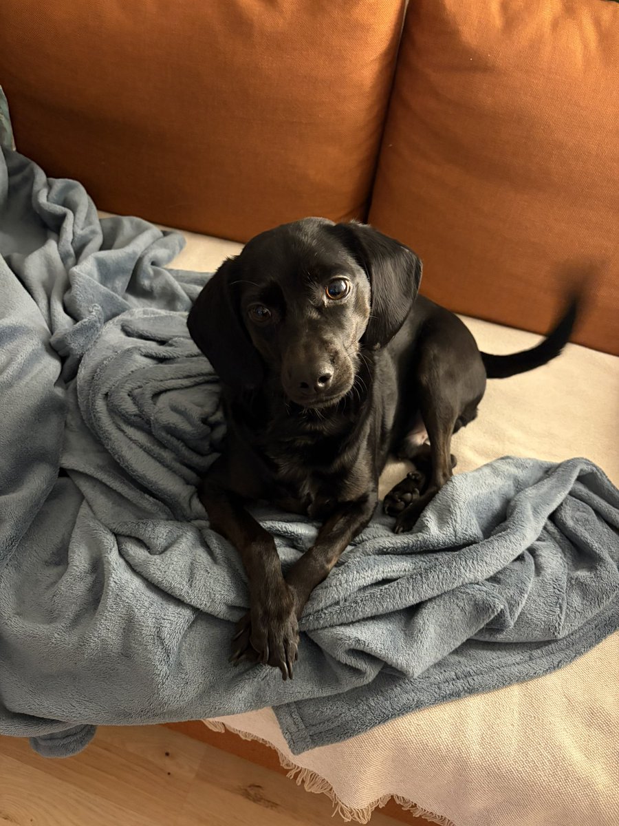 Boynumu bükdüm, patilerimi uslucuk yabdim..... belkim avzuna addigndan bana da verersin.... Belkm....... 🍪🍫🍩🍭🧁🍦