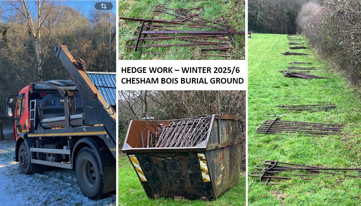 Old and broken metal fencing removed from a double hedgerow this month to allow for both hedges to be managed differently in future.