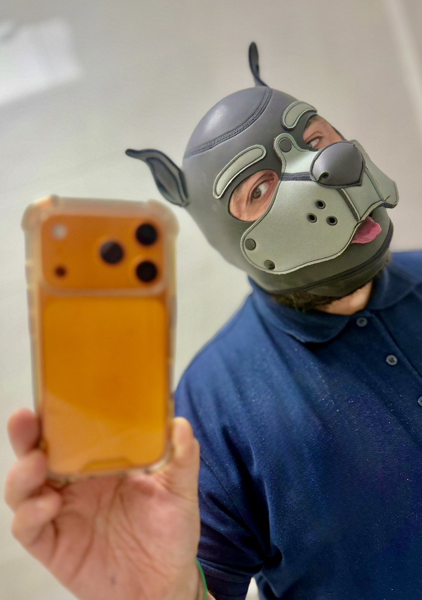 PupHugsy tweet media