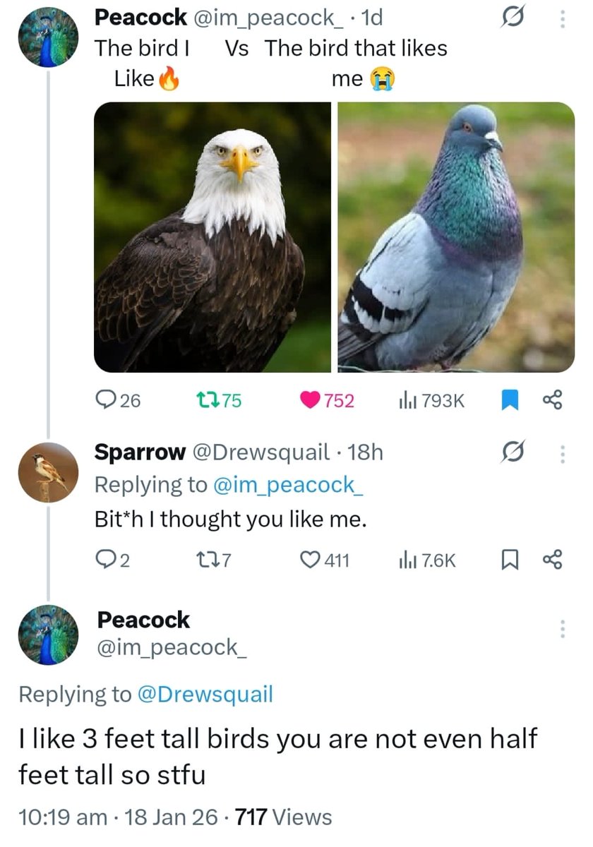 PostsNoContext's tweet image. We got birds fighting on X before GTA 6 😭