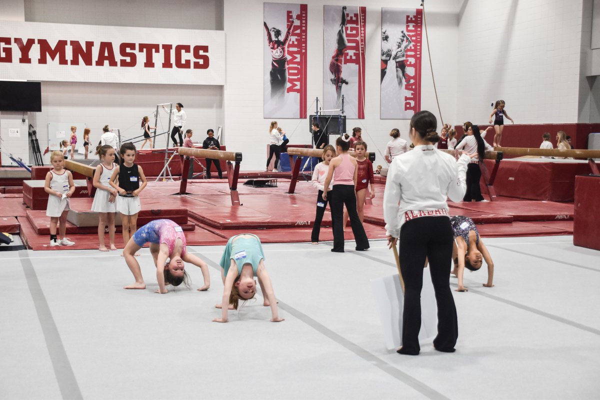 medalistclubua's tweet image. What's that?  Even MORE Tide Tykes moments!  Roll Tide!

#rolltideroll🐘 #TheMedalistClub #BamaGymnastics #rolltide #TideTykes

Join the club at BamaGymnastics.org