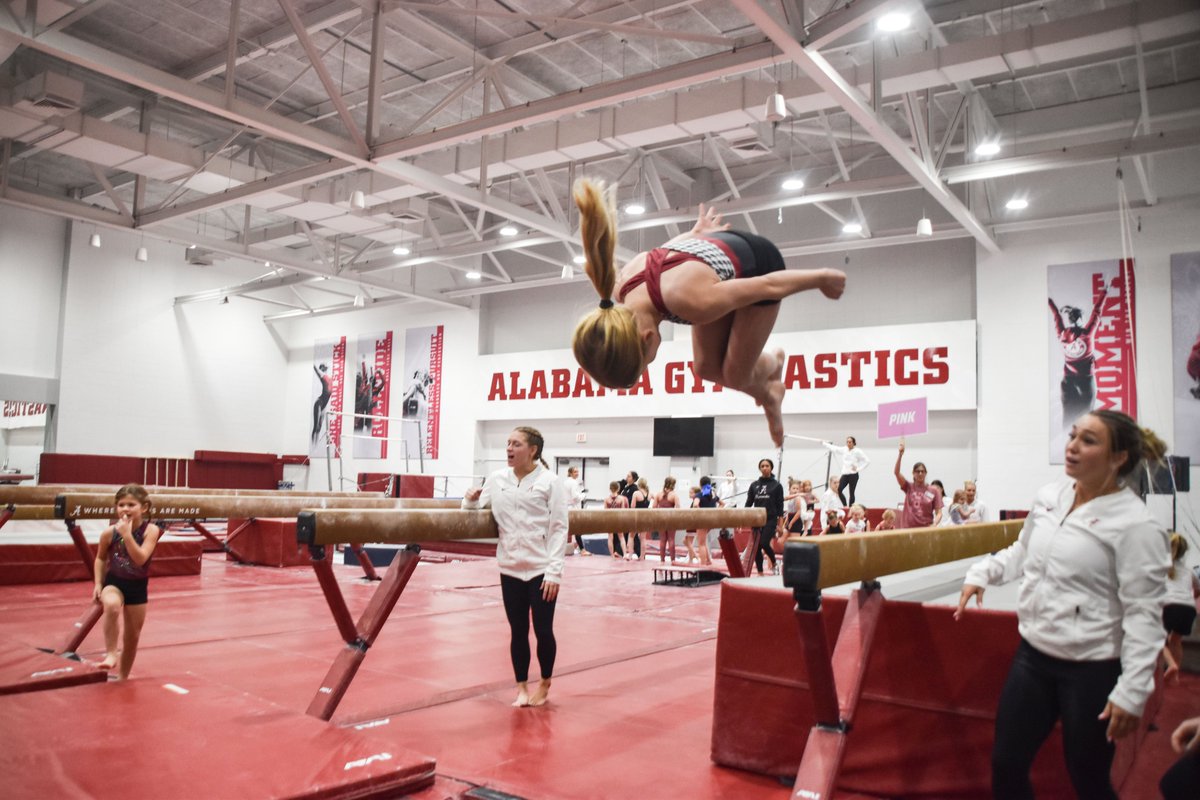 medalistclubua's tweet image. What's that?  Even MORE Tide Tykes moments!  Roll Tide!

#rolltideroll🐘 #TheMedalistClub #BamaGymnastics #rolltide #TideTykes

Join the club at BamaGymnastics.org