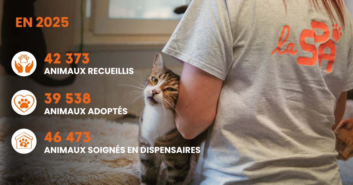 🐾 Bilan 2025 de la SPA : derrière les chiffres, des vies sauvées.

En 2025, la SPA a accueilli plus de 42 300 animaux dans ses refuges. Un chiffre qui marque une professionnalisation et une amélioration des conditions d’accueil, de soins et de sociabilisation, pour des