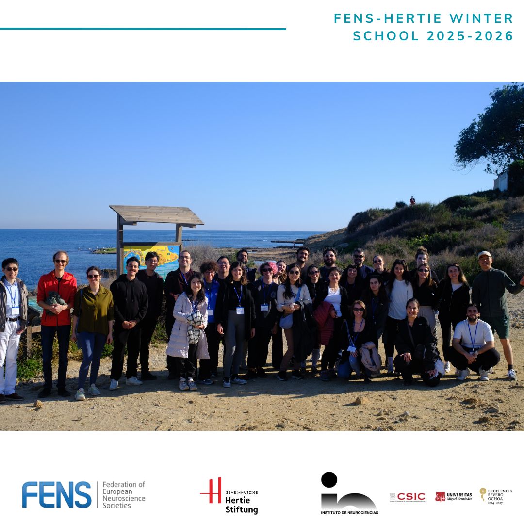 FENSorg's tweet photo. Last week, the #FENS-Hertie #WinterSchool 2025-2026, “Single-Cell and Spatial Omics to Understand Brain Heterogeneity”, took place in Alicante, Spain. 🇪🇸

🧠 The final day featured sessions by Jens Hjerling-Leffler and Gonçalo Castelo-Branco, followed by participant flash talks! https://t.co/JkignqlrPf