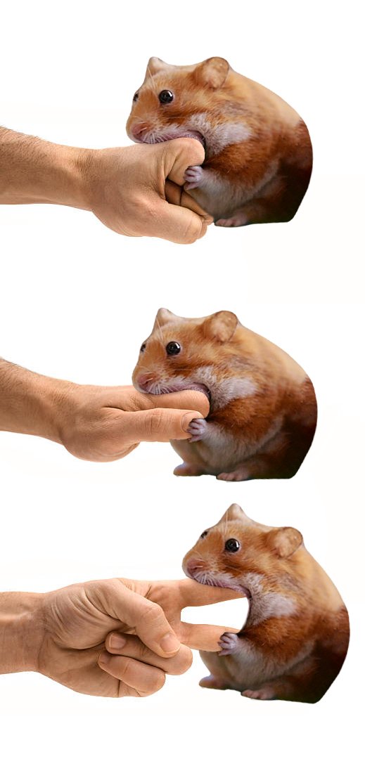 In the end, "Nom" always wins

$nomnom