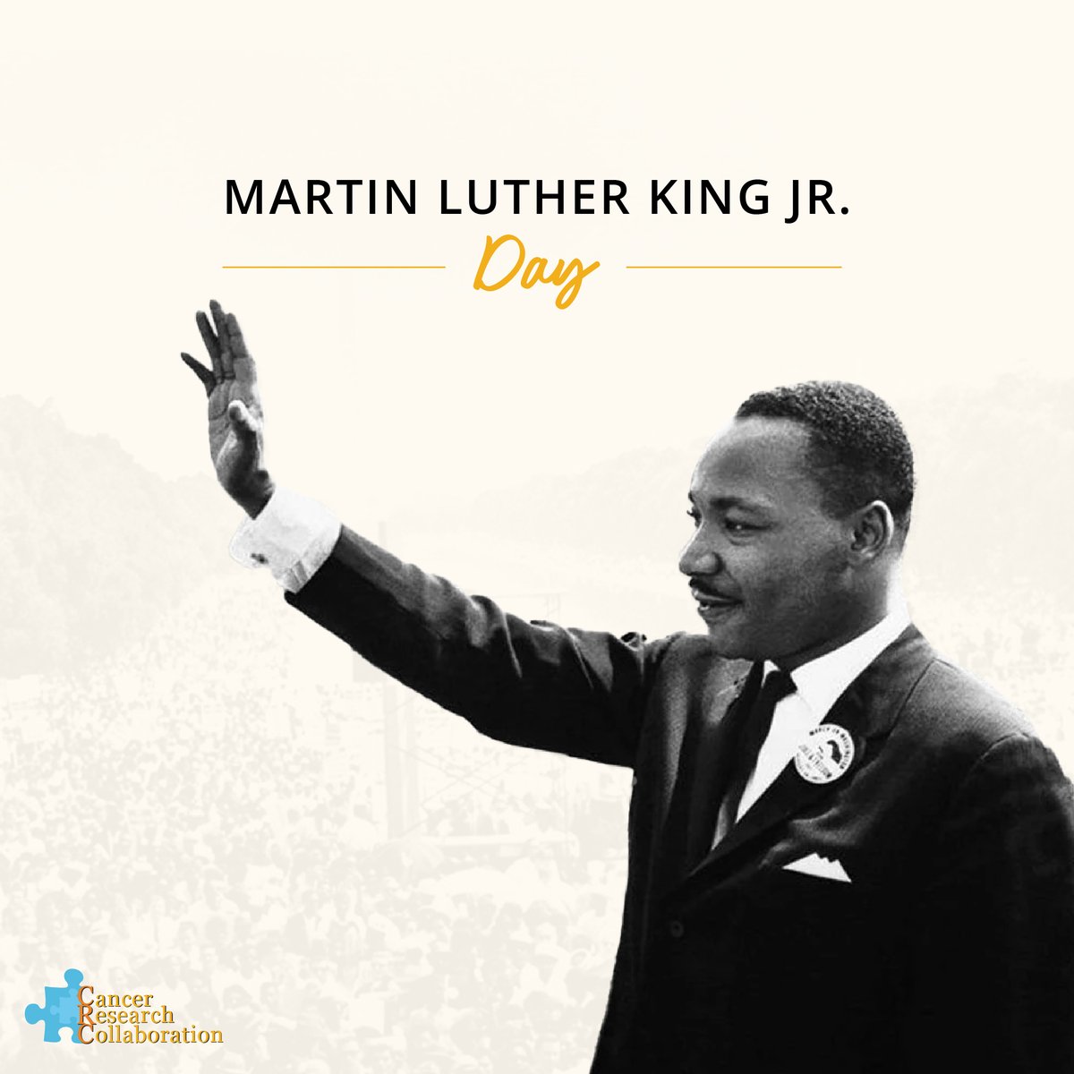 Cancer Research Coll tweet media