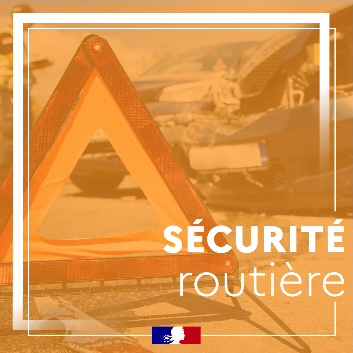 Image de Préfet de la région Guyane - #SécuritéRoutière | 🚨🚗 Du 12 au 18 janvier : 14 suspensions de permis de conduire ont été prononcé