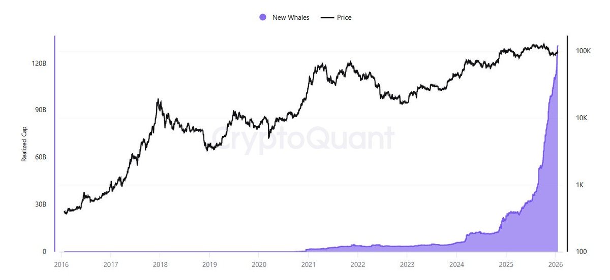 TimBitKamp's tweet image. Nieuwe whales betreden massaal de markt 👀

Deze grafiek laat zien dat het gerealiseerde kapitaal van nieuwe grote Bitcoin-houders (whales) naar recordhoogtes schiet.

Grote spelers kopen niet alleen, ze houden vast! 🚀