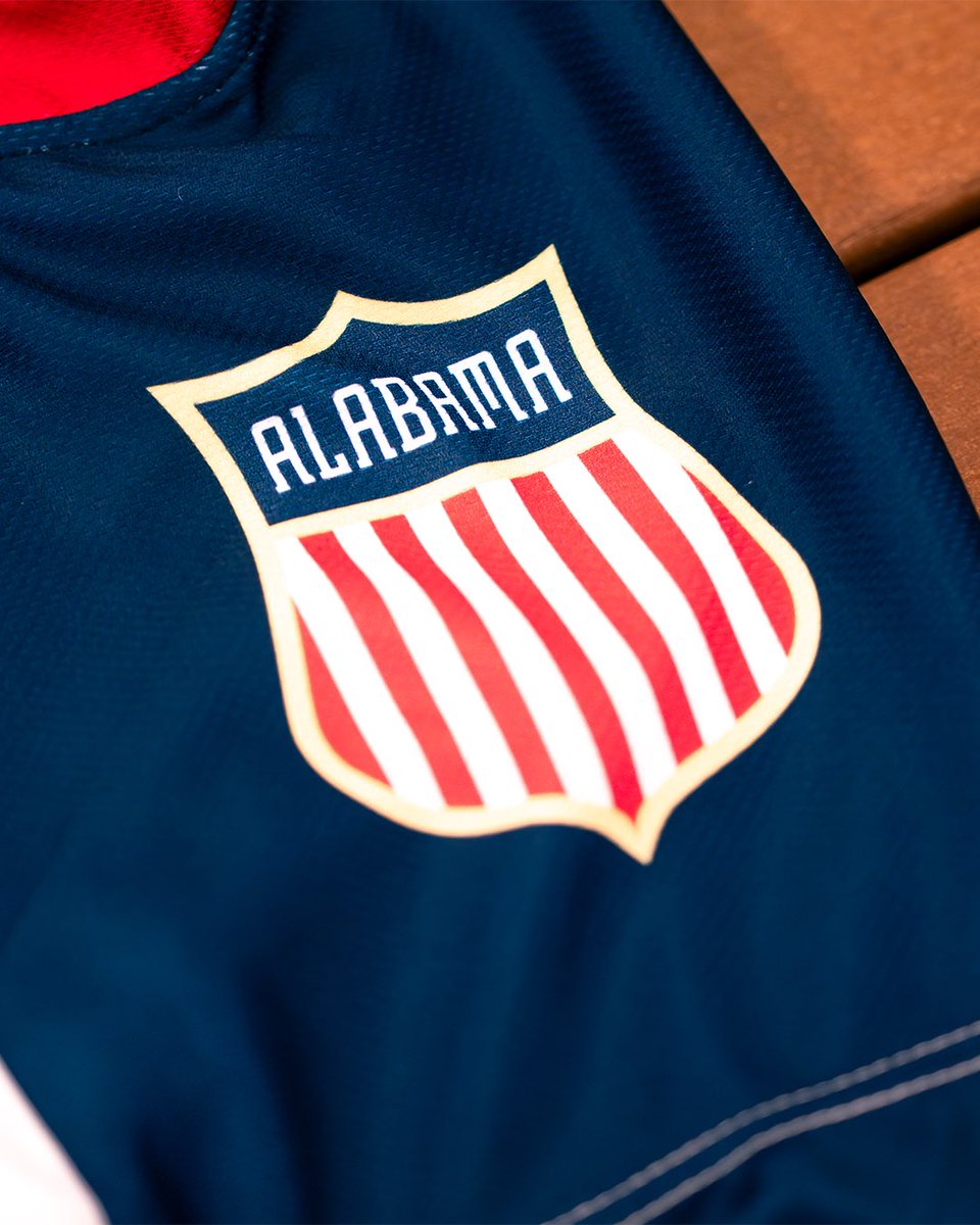 Alabama Hockey tweet media