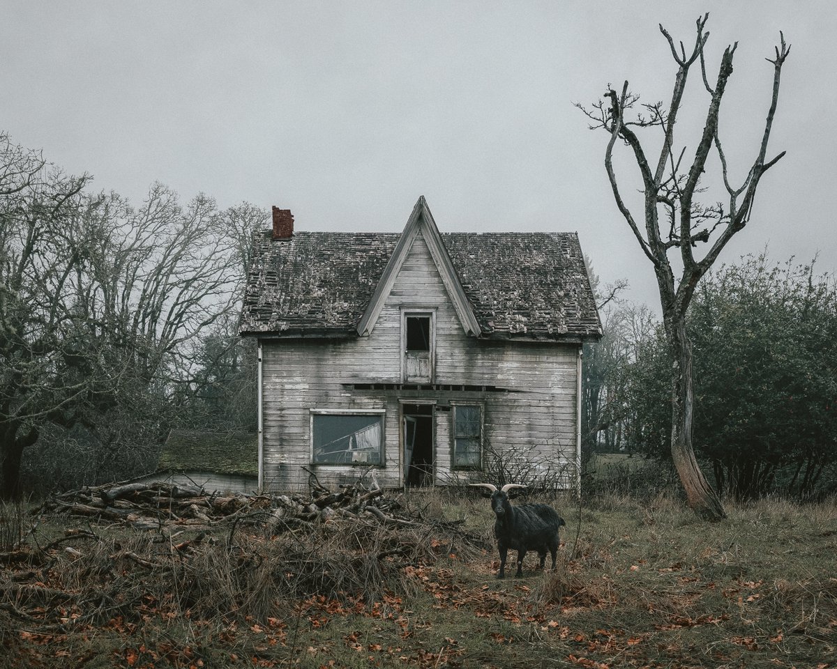 Brendon Burton tweet media