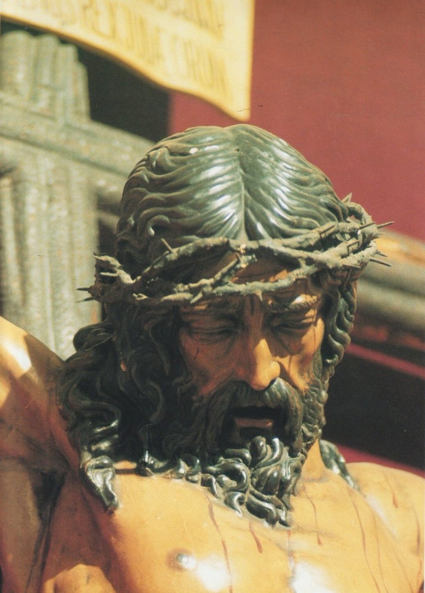 AntonioManuelRosado tweet media